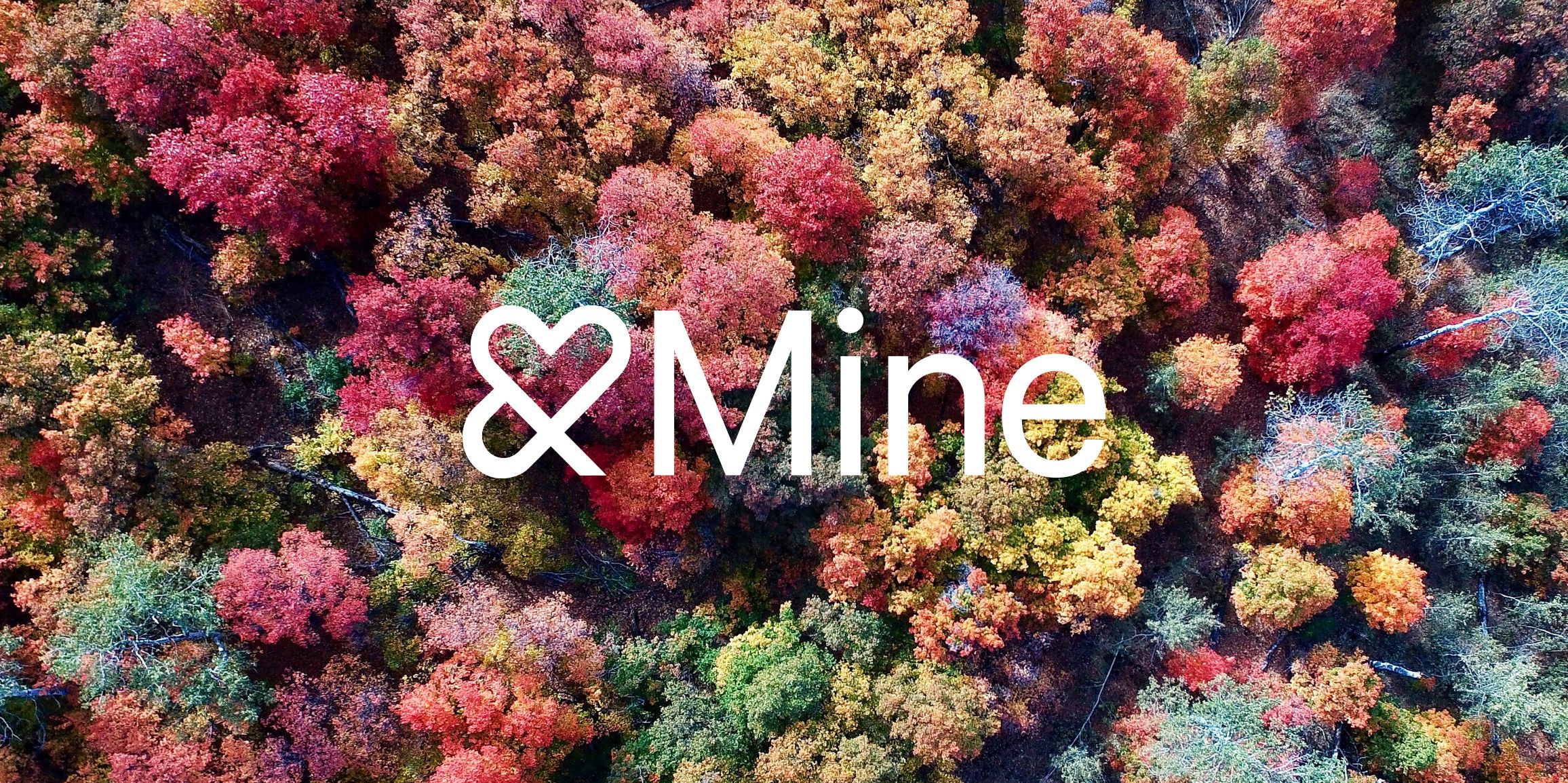 social responsibility andmine