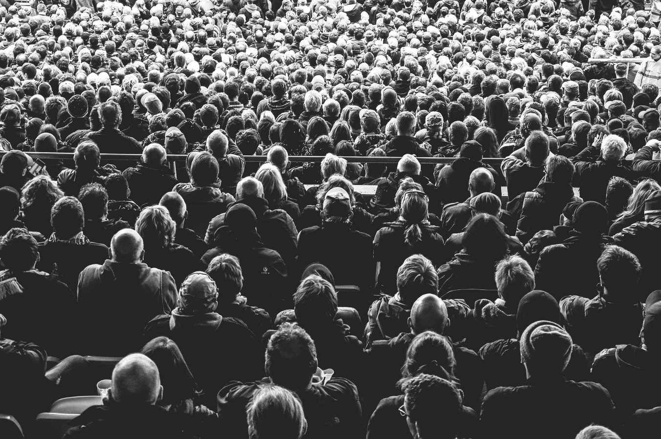 concert audience